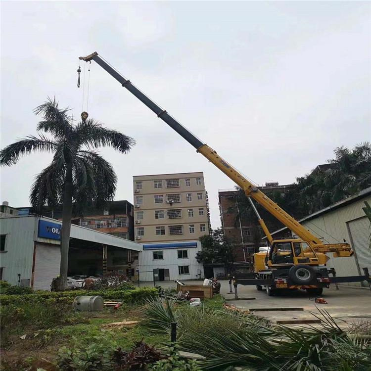 钦州吊车吊大树几种方法